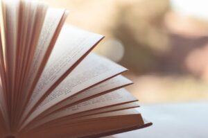 book, pages, chapters, open, open book, book pages, literature, knowledge, wisdom, read, reading, browsing, book, book, book, book, book, reading-1283865.jpg
